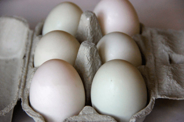 Screen Shot 2015-01-21 at 8.26.18 PM