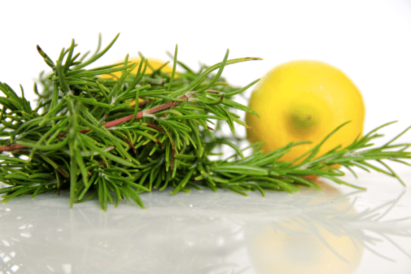 Screen Shot 2015-06-24 at 9.51.14 PM